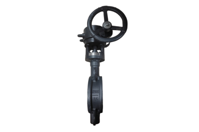 Затвор дисковый ЗДМ 2FG PN25 DN150 фланцевый с редукторным приводом ; корпус, диск - сталь