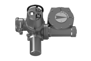 Электропривод AMB-M-20 + MY-4-1SD 380В с блоком управл.; IP67/IP65; для ШК RJIP DN500 станд.прох. или DN400 полн.прох, Ридан