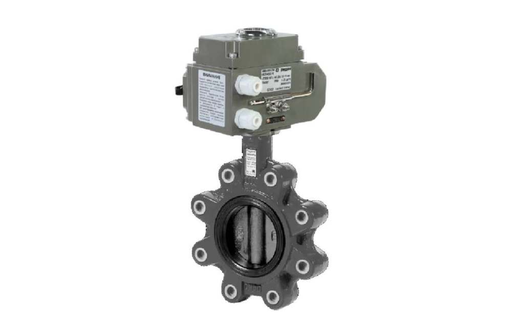 Затвор дисковый ЗДМ с резьбовыми проушинами Ридан PN16 DN250 диск чугун с электроприводом 24В