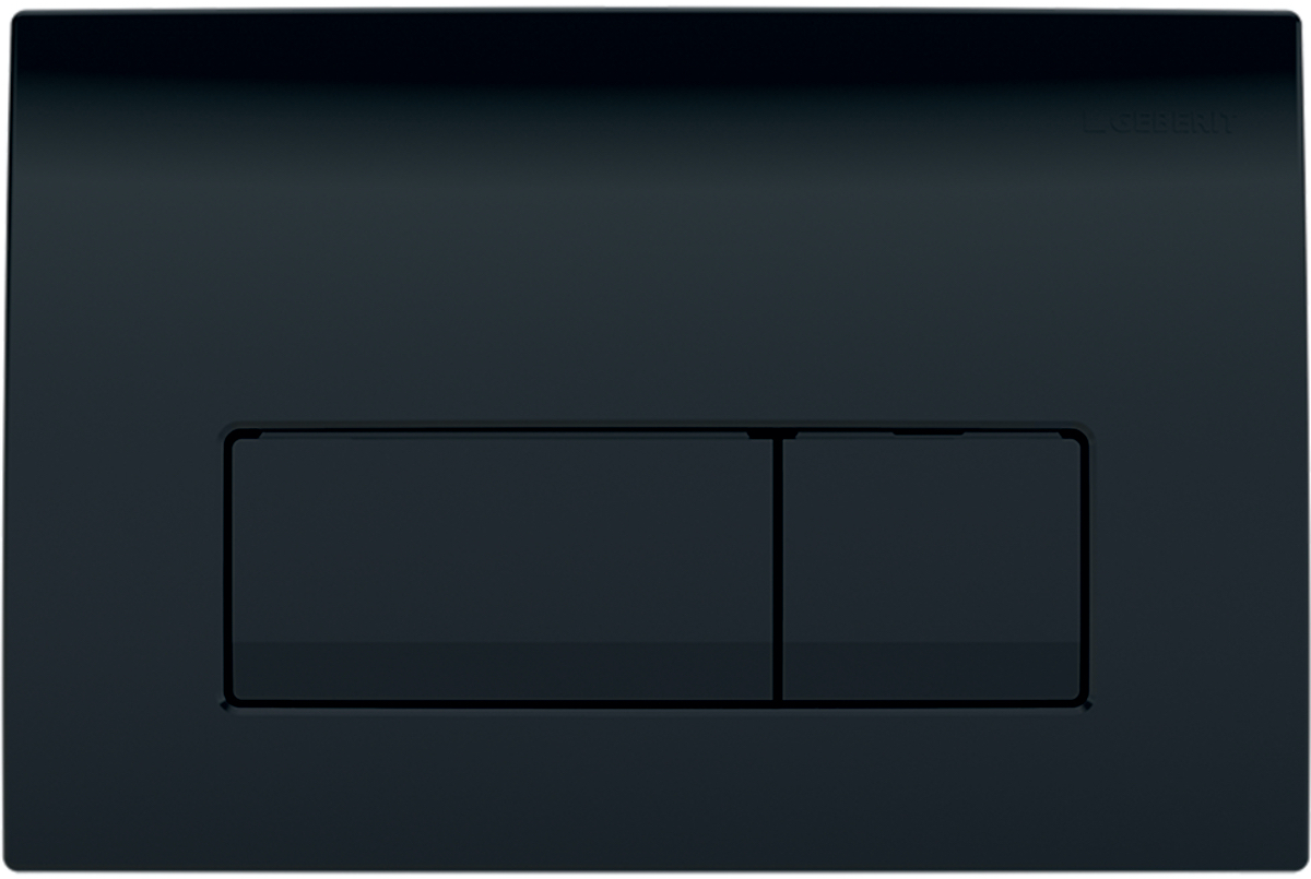 Смывная клавиша Geberit Delta51, двойной смыв: Черный RAL 9005