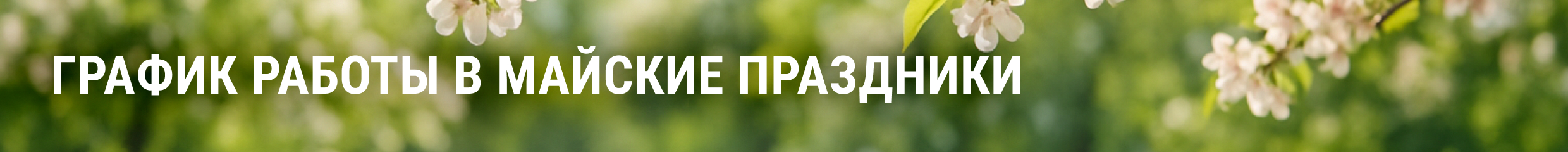 праздник