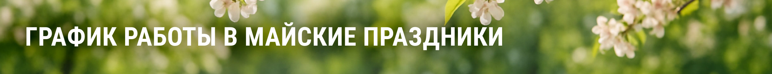 праздник