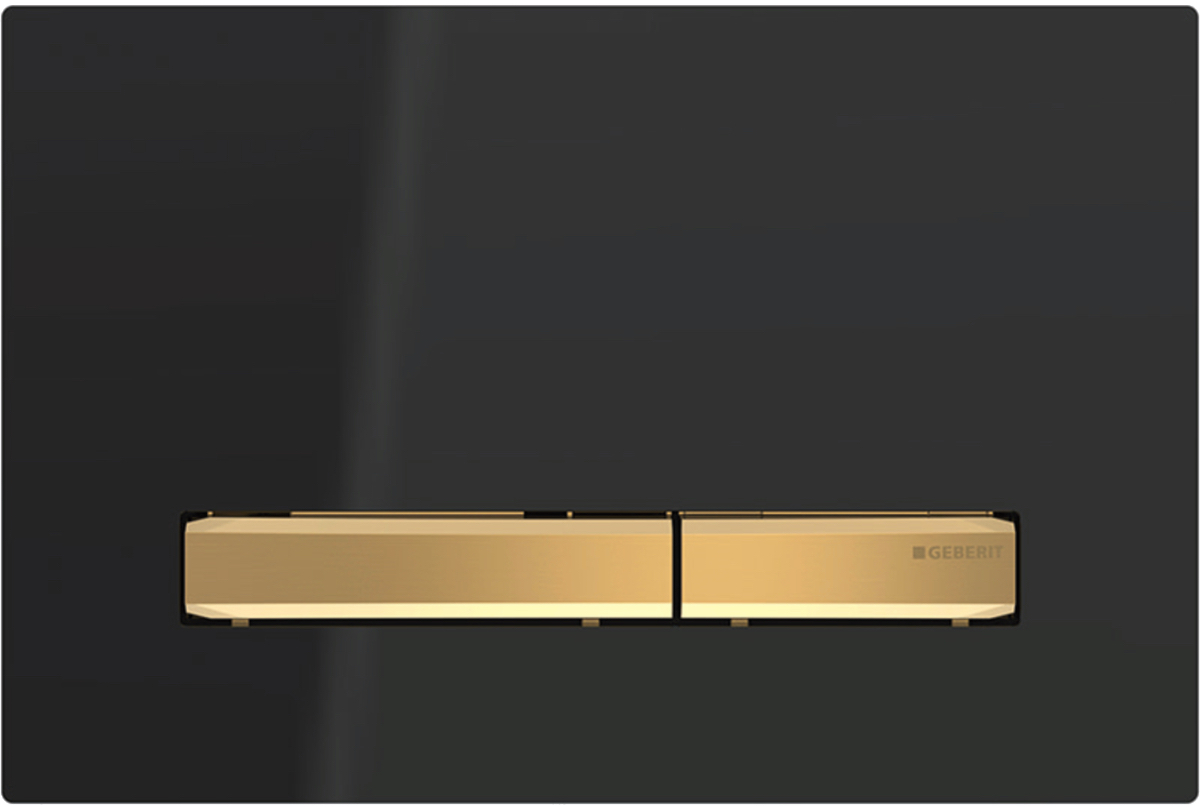 Смывная клавиша Geberit Sigma50, для двойного смыва, цвет металлический латунь: латунь, черный