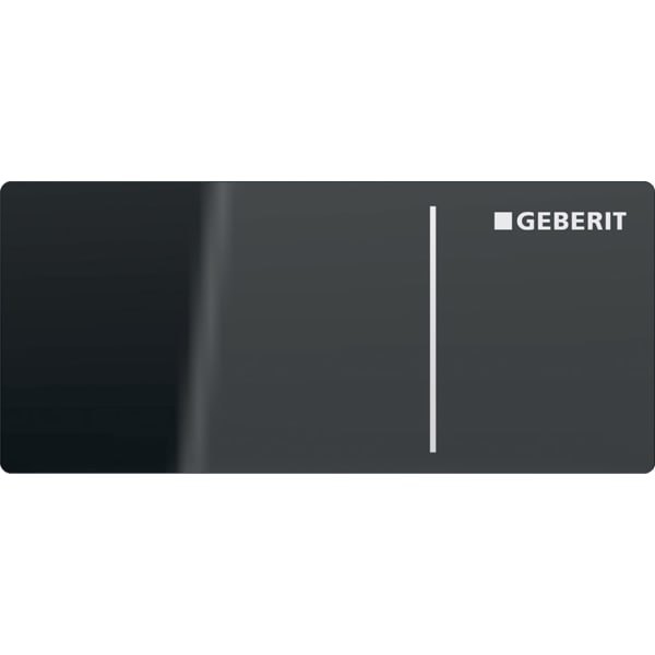 Клавиша смыва Geberit дистанционная типа 70, для двойного смыва, для смывного бачка скрытого монтажа Omega, установка в мебель: Темно-серый